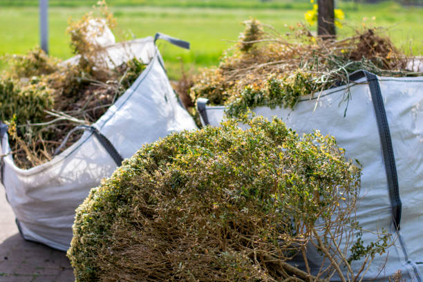Best Dumpster Rental Services  in Blplay, AL